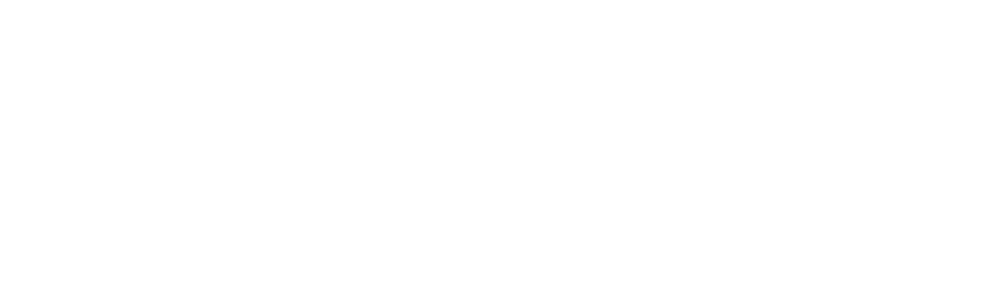 elemental magician